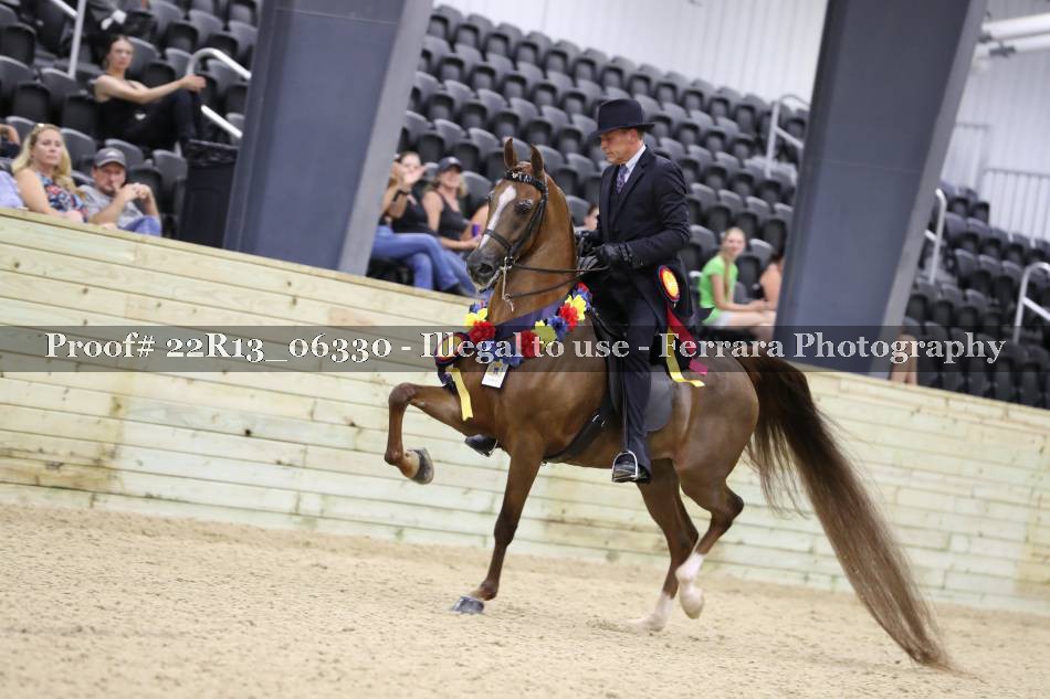 Proof 22R13_06330