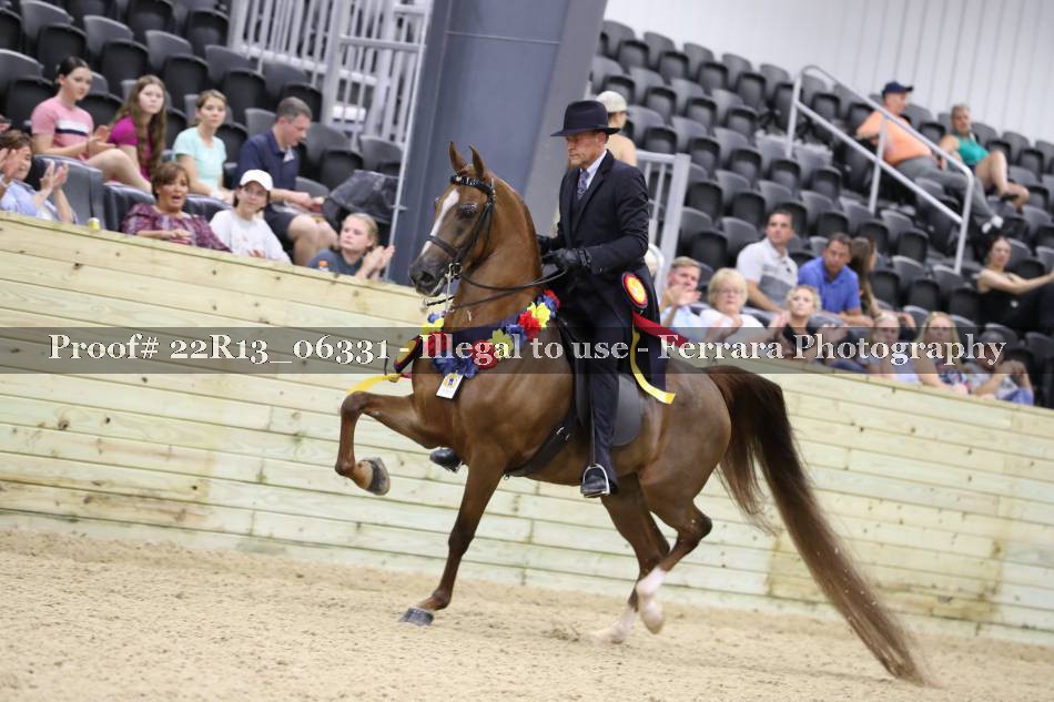 Proof 22R13_06331