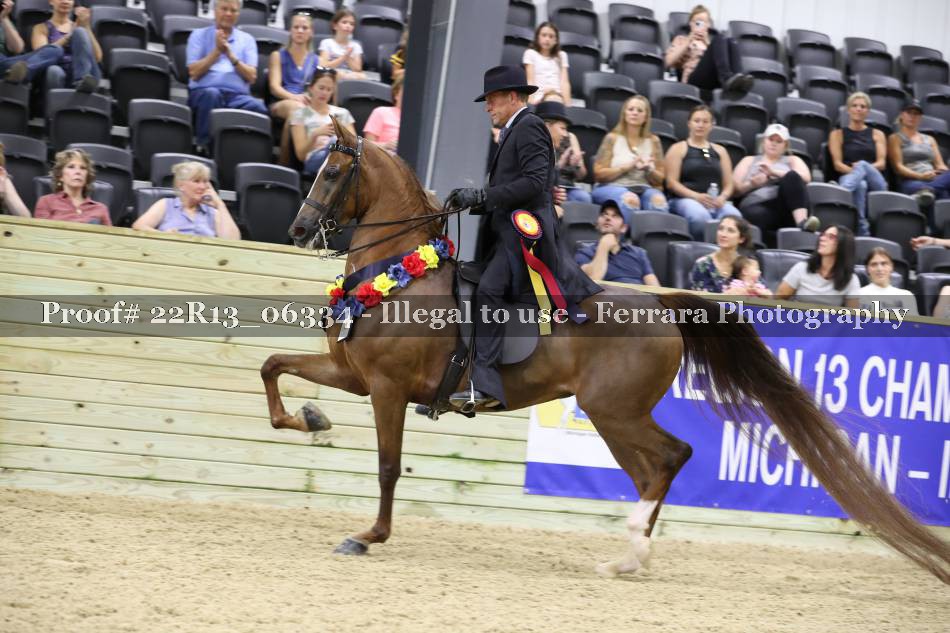 Proof 22R13_06334