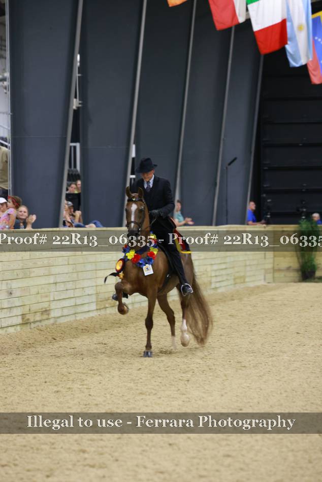 Proof 22R13_06335