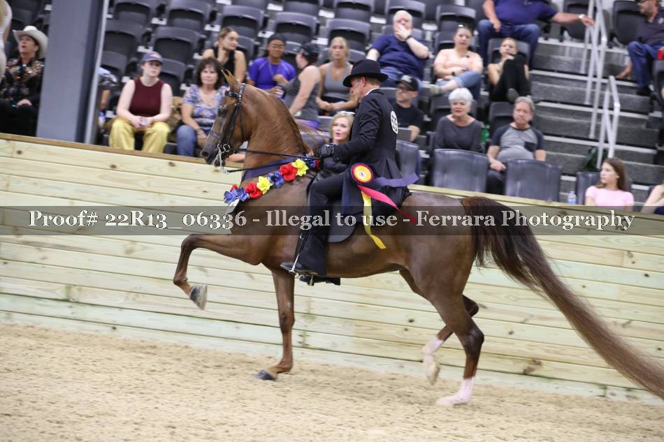 Proof 22R13_06336