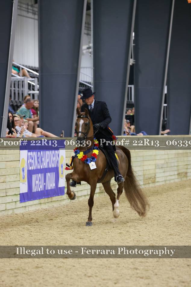 Proof 22R13_06339