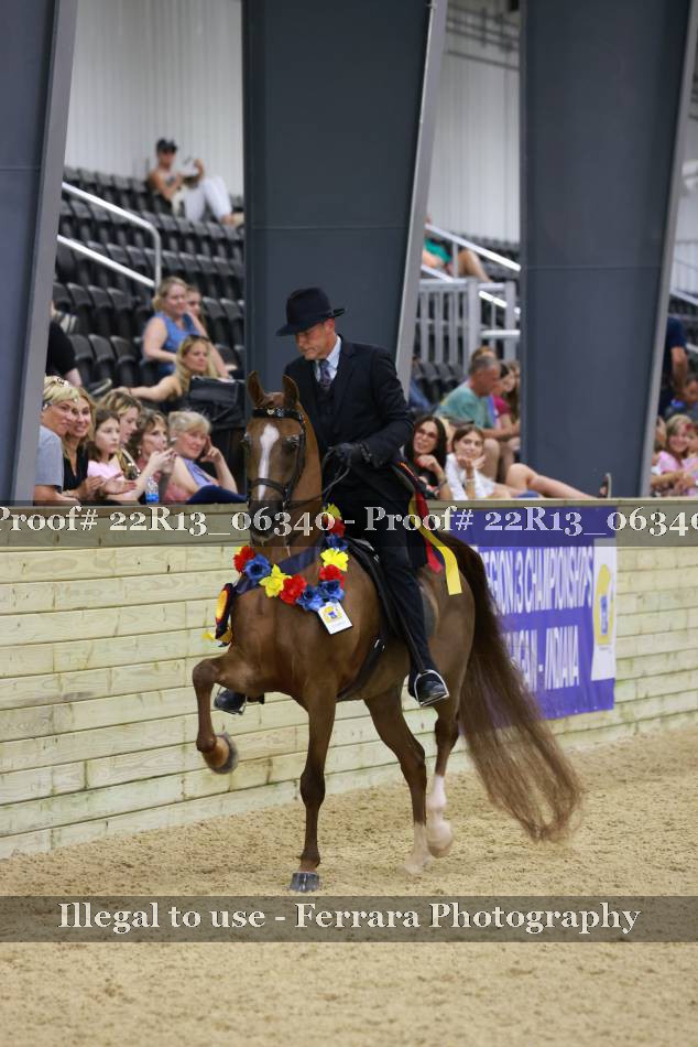 Proof 22R13_06340