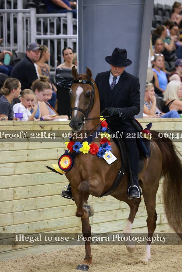 Proof 22R13_06341