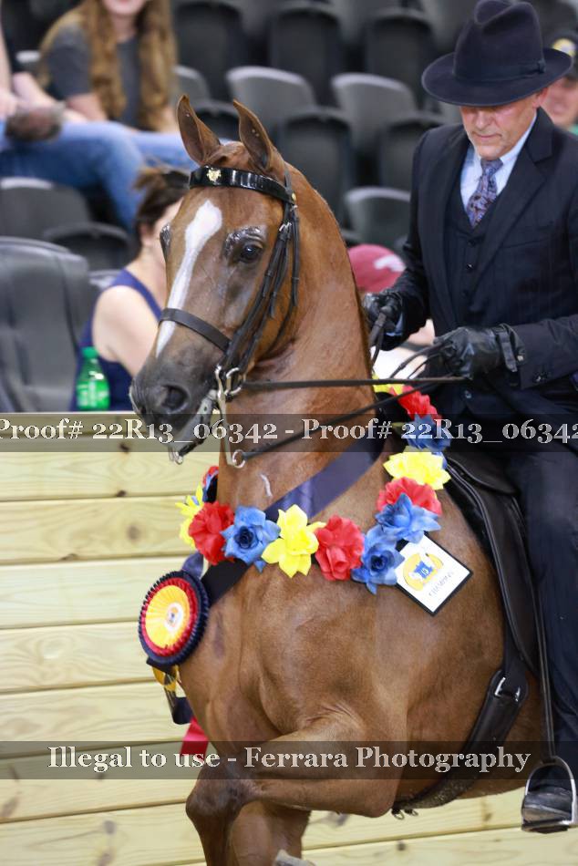 Proof 22R13_06342