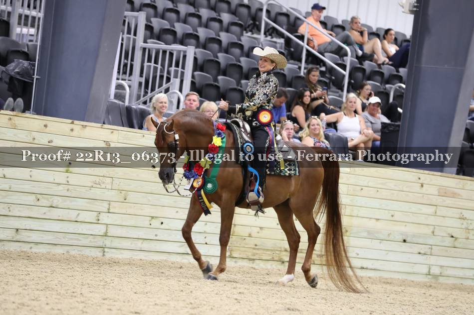 Proof 22R13_06373