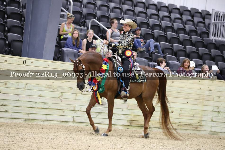 Proof 22R13_06375