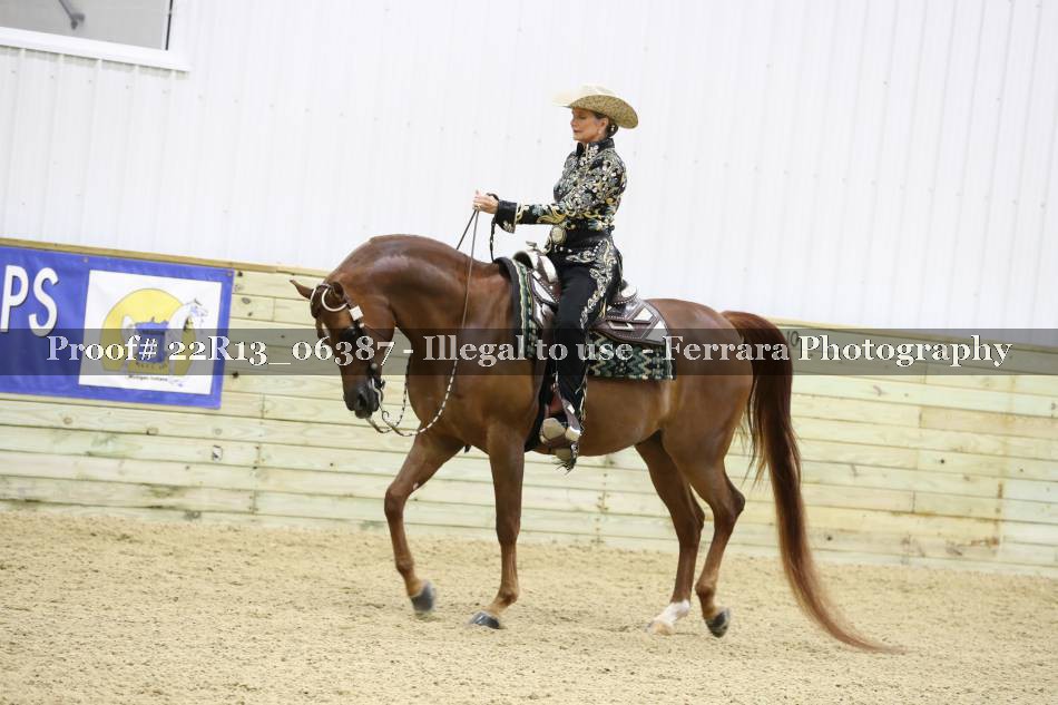 Proof 22R13_06387