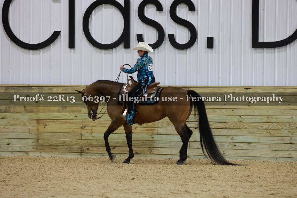 Proof 22R13_06397