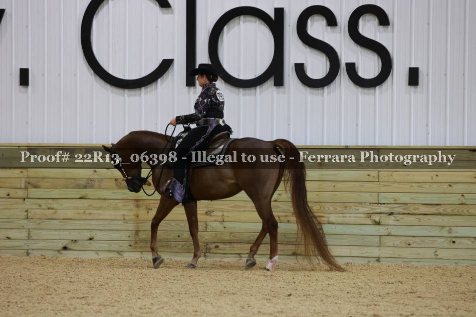 Proof 22R13_06398