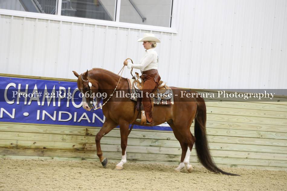 Proof 22R13_06409
