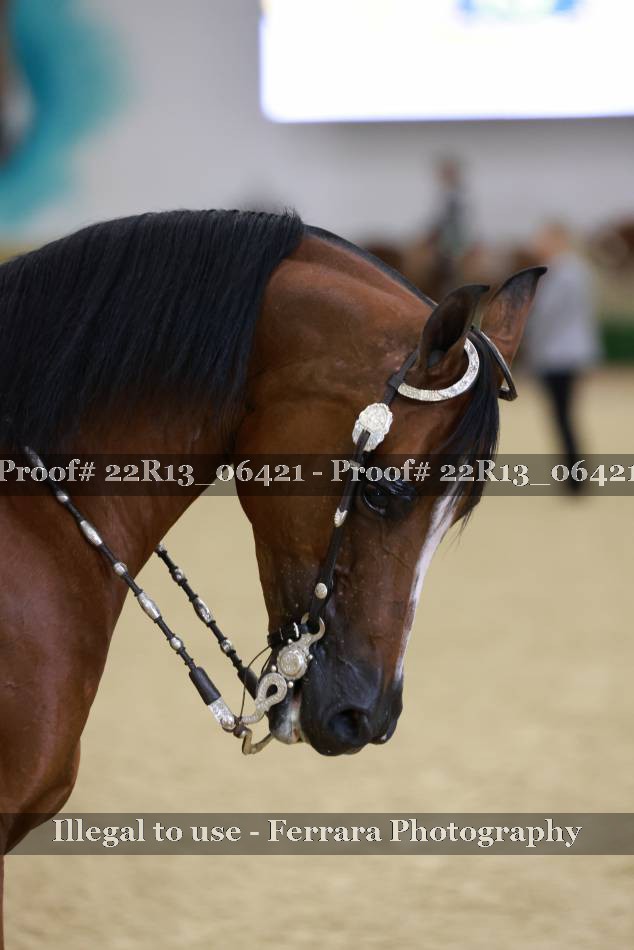 Proof 22R13_06421