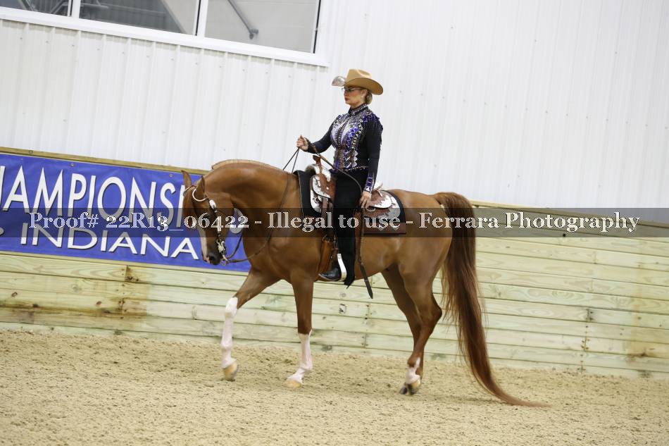 Proof 22R13_06422