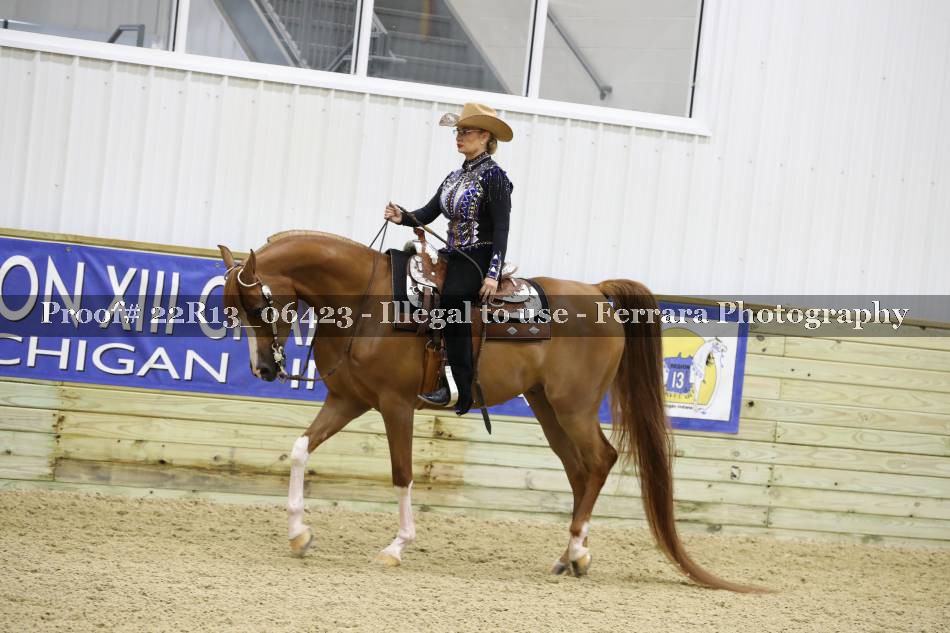 Proof 22R13_06423