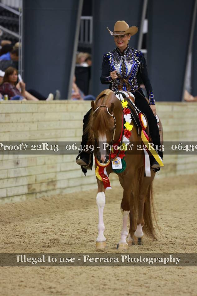 Proof 22R13_06439