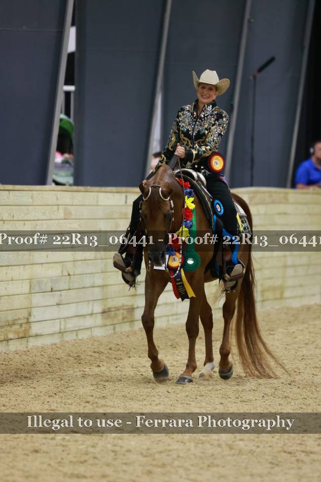 Proof 22R13_06441
