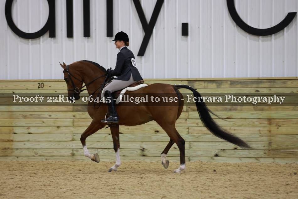 Proof 22R13_06445