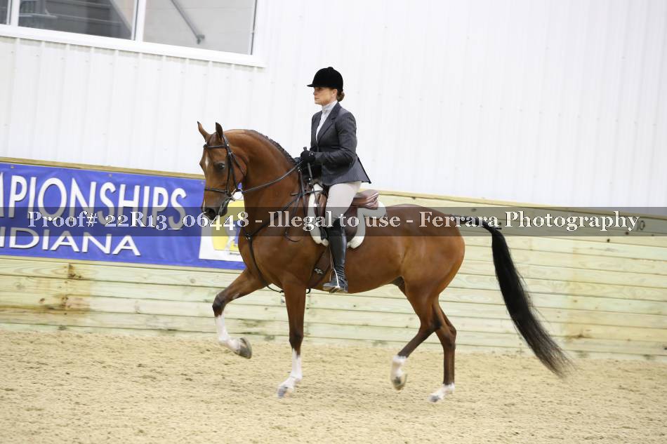 Proof 22R13_06448