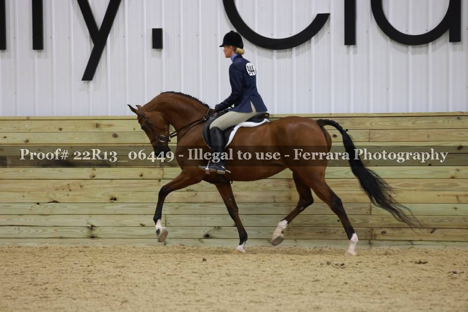 Proof 22R13_06449