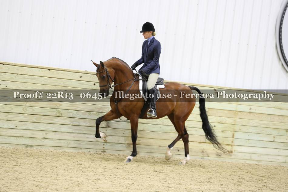 Proof 22R13_06451