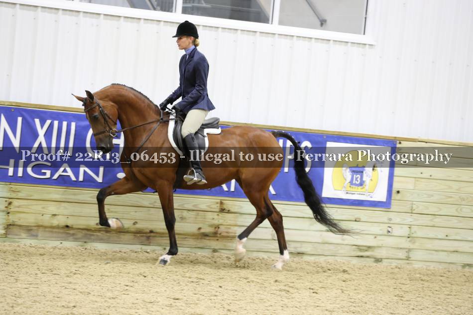 Proof 22R13_06453