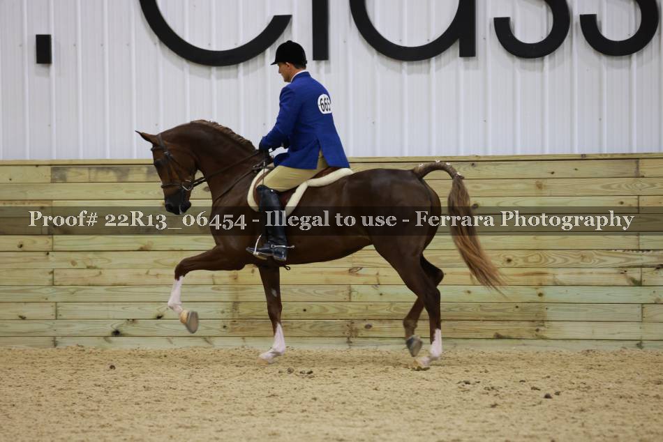 Proof 22R13_06454
