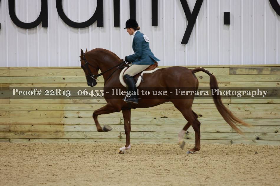 Proof 22R13_06455