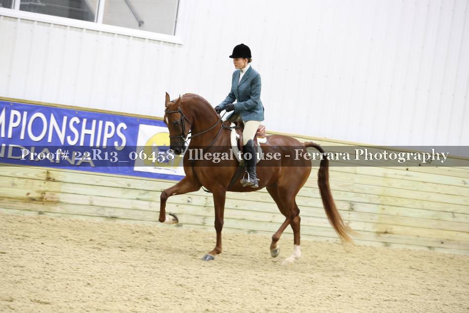 Proof 22R13_06458