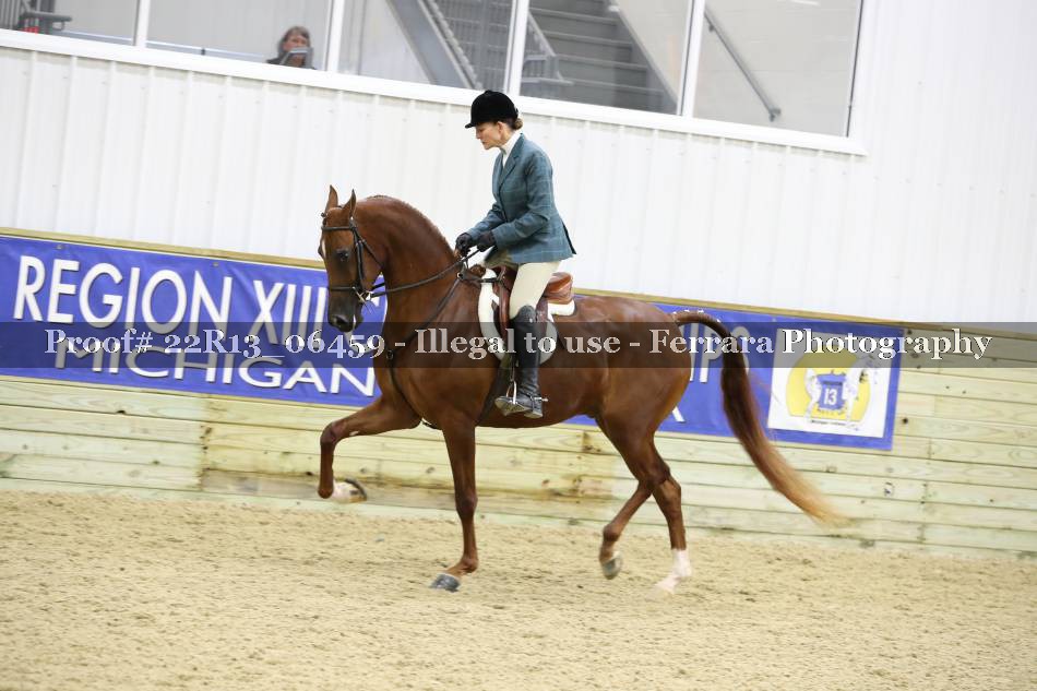 Proof 22R13_06459