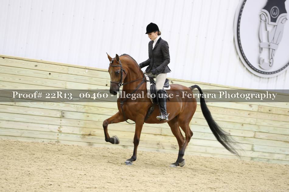 Proof 22R13_06460