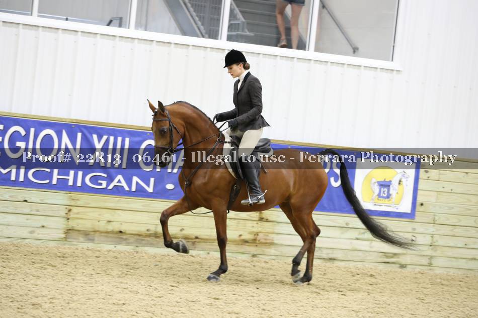 Proof 22R13_06461