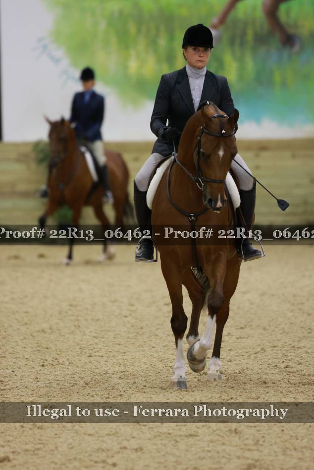 Proof 22R13_06462