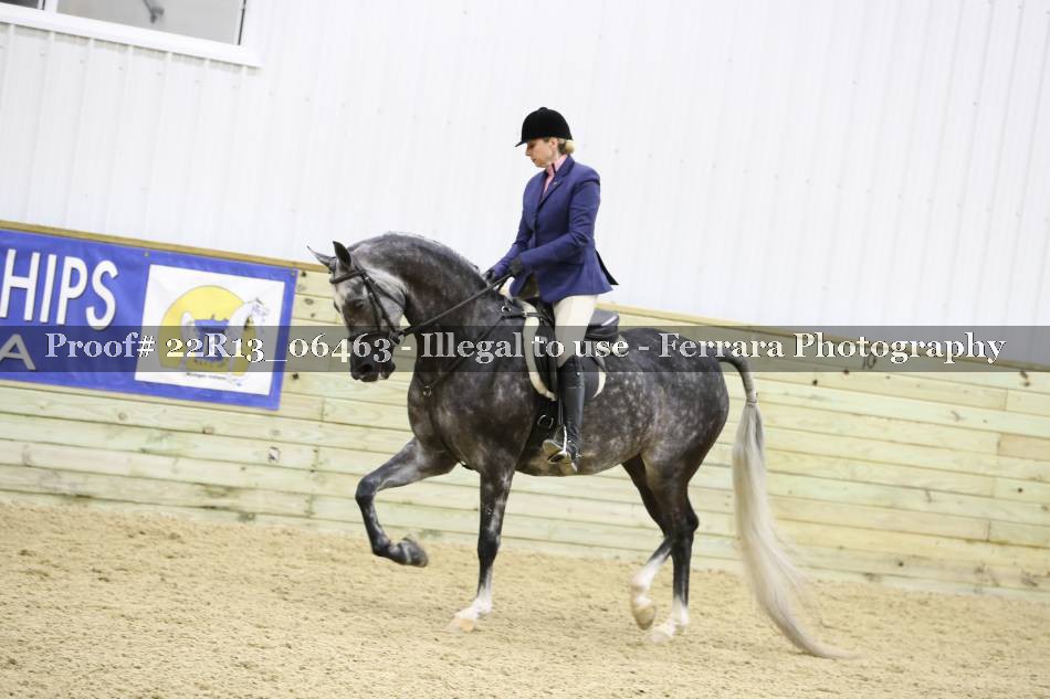 Proof 22R13_06463
