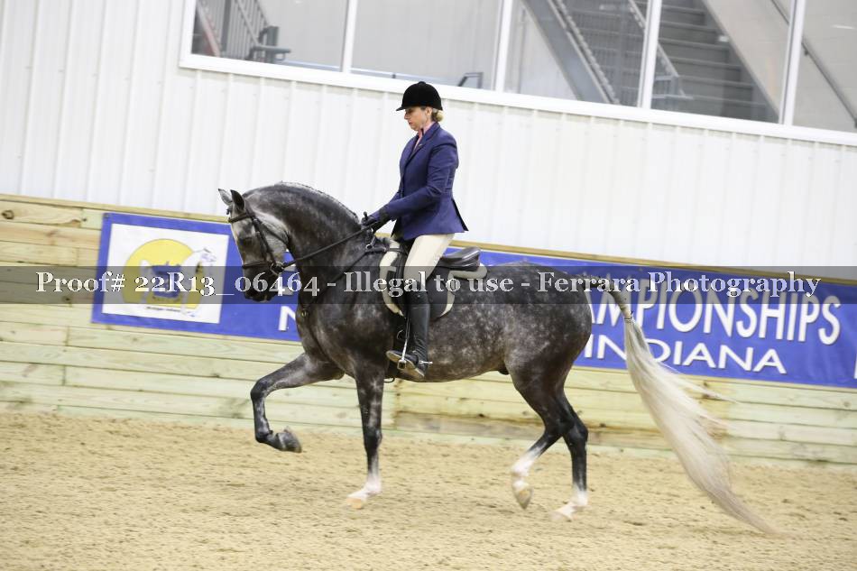 Proof 22R13_06464