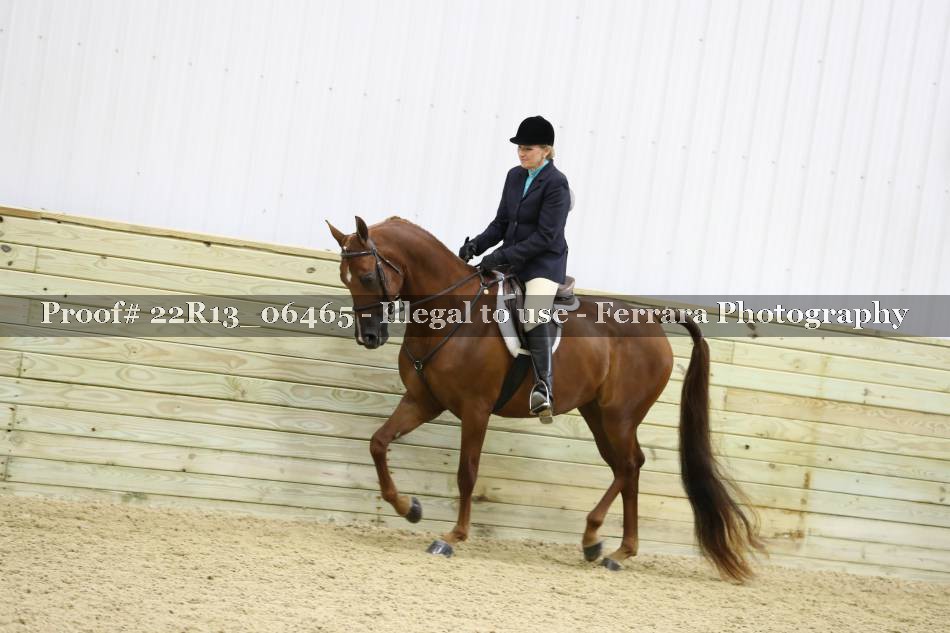 Proof 22R13_06465