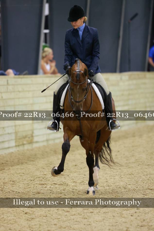 Proof 22R13_06466