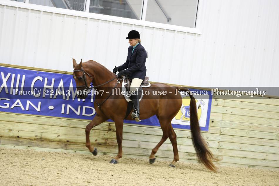 Proof 22R13_06467