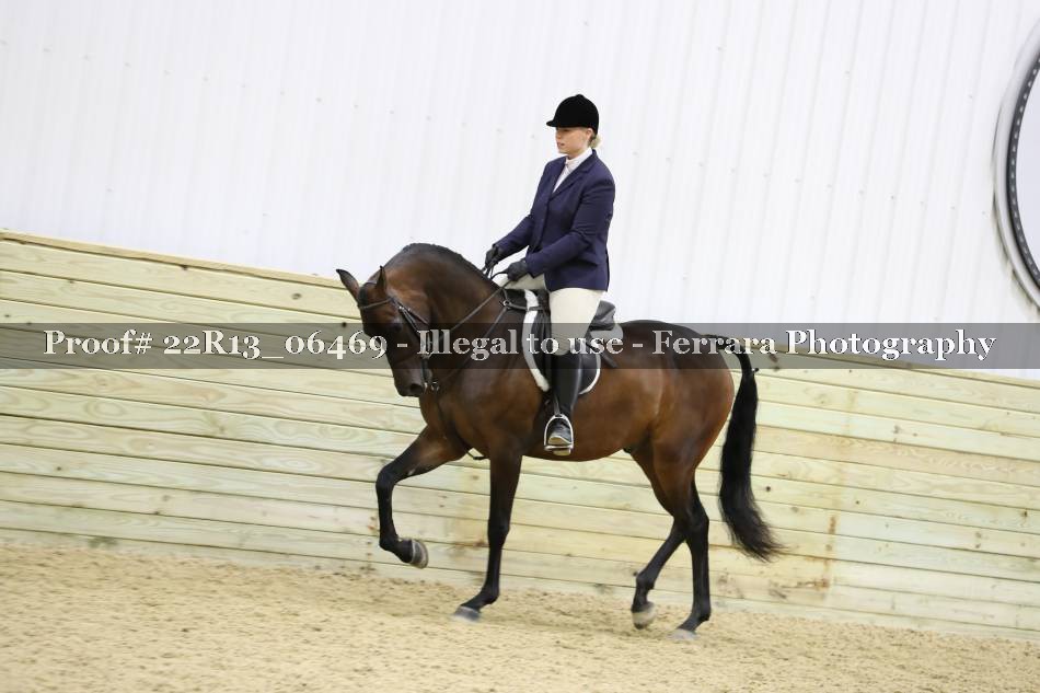 Proof 22R13_06469