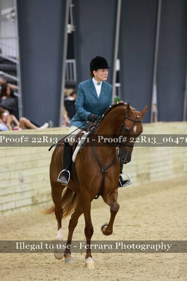 Proof 22R13_06471
