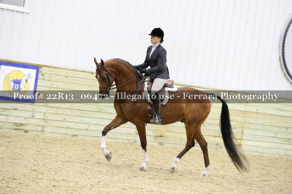 Proof 22R13_06472