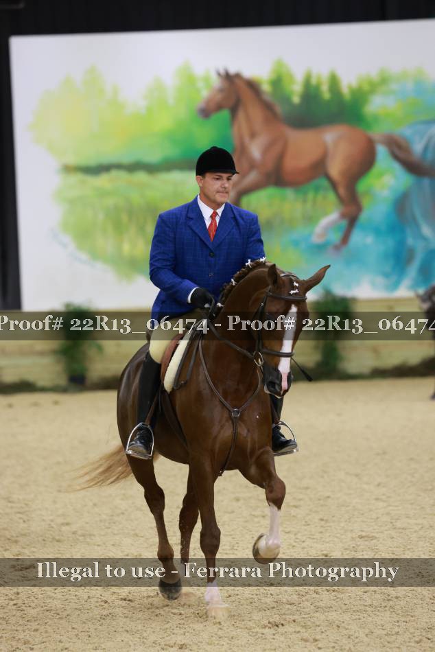 Proof 22R13_06474