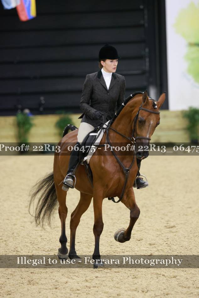 Proof 22R13_06475