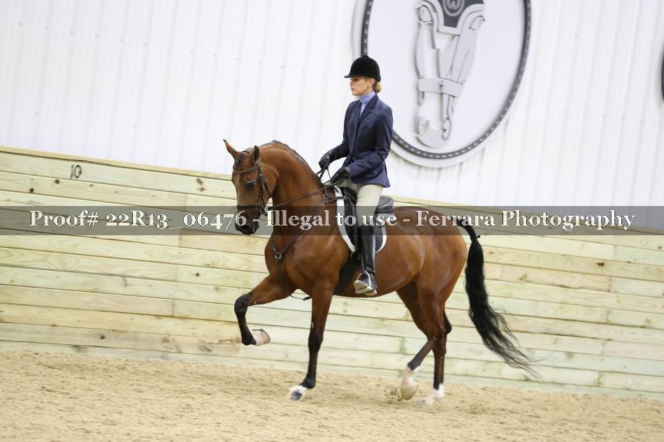 Proof 22R13_06476
