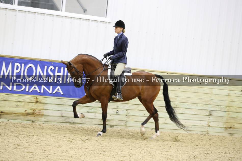 Proof 22R13_06477