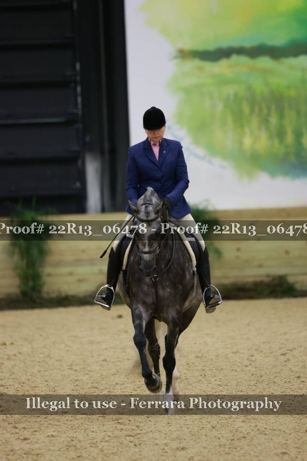 Proof 22R13_06478