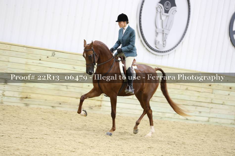 Proof 22R13_06479