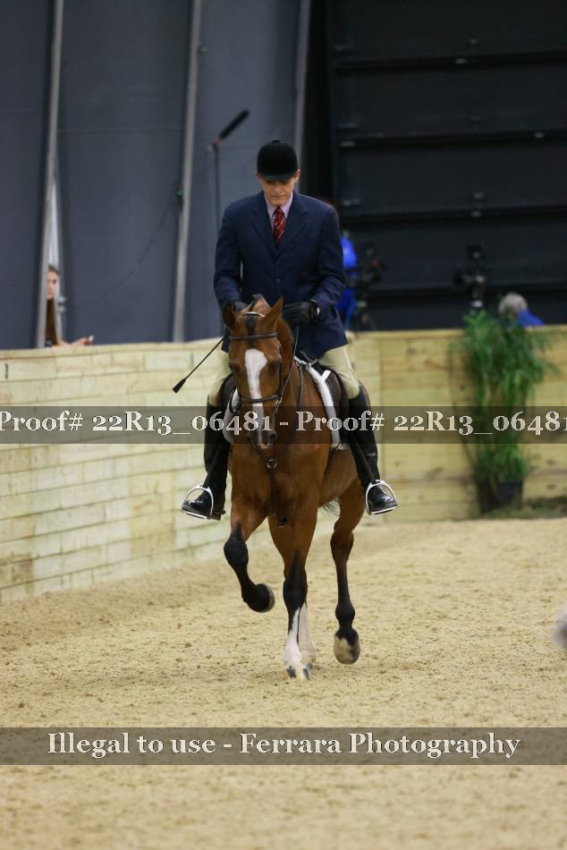 Proof 22R13_06481