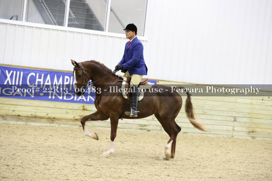 Proof 22R13_06483