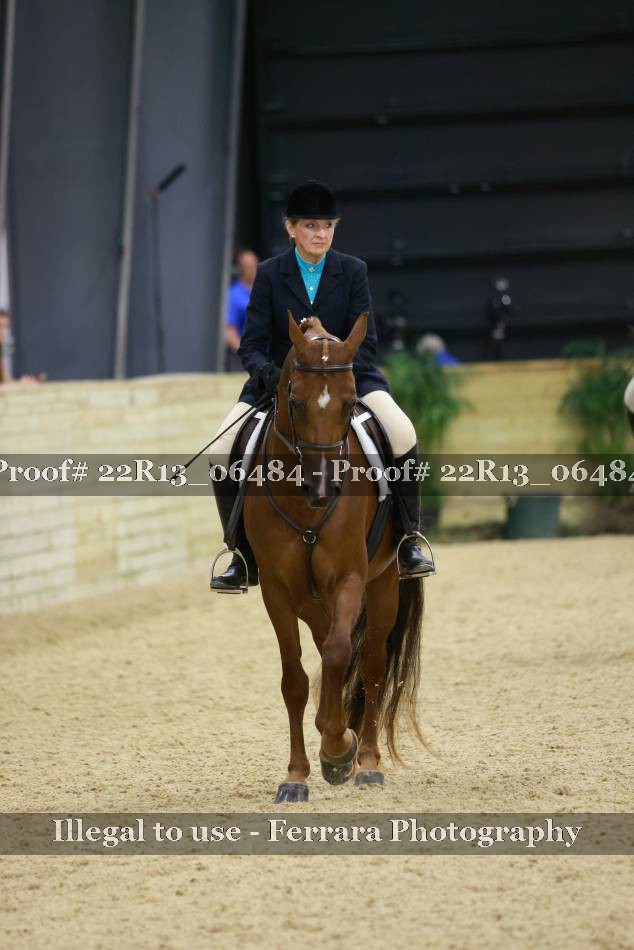 Proof 22R13_06484