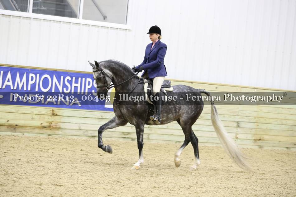 Proof 22R13_06485